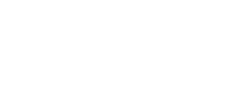 翻回国VPN - 海龟伴侣